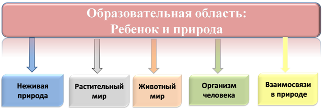 Образовательная область: Ребенок и природа